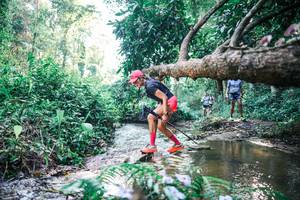 BIB: 
                            <button type="button" onclick="openModal(25436280)" class="btn btn-primary btn-sm float-right btn-popup" data-toggle="modal" data-target=".modal-high-quality">
                        <i class="fas fa-shopping-cart"></i> Add to Cart
                    </button>
                                            <button type="button" onclick="isThisMe(25436280, true)" class="btn btn-success btn-sm float-right btn-popup btn-isme hidden" data-toggle="tooltip" data-placement="bottom" title="นี่คือรูปของคุณใช่ไหม คลิกที่นี่เพื่อเอาเข้าอัลบั้ม">
                        <i class="fas fa-plus"></i> Add to album
                    </button>
                    <button type="button" onclick="isThisMe(25436280, false)" class="btn btn-warning btn-sm float-right btn-popup btn-isnotme hidden">
                        <i class="fas fa-ban"></i> Remove from album
                    </button>